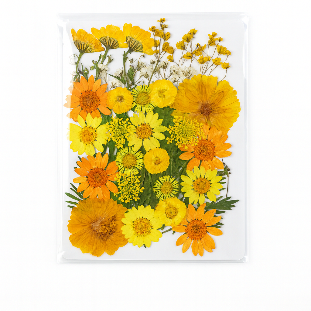 Lot de 20 marque-pages