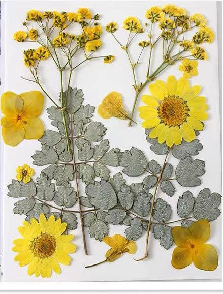 Paquet de Fleurs Séchées (OFFERT)